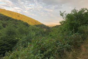 Belltal, Kobern-Gondorf, Rhein-Mosel, Landkreis Mayen-Koblenz, Rhineland-Palatinate, 56330, Germany