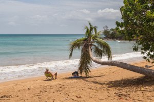 N2, Plessis Nogent, Guadeloupe