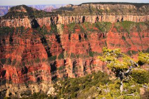 Photo taken at Grand Canyon National Park, Bright Angel Point Trail, North Rim, AZ 86052, USA with SONY SLT-A77V