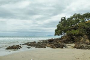 Cove Cafe, Cove Road, Waipu Cove, Whangarei District, Northland, New Zealand