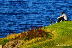 Photo taken at 2014-2018 N 30th St, Tacoma, WA 98403, USA with SONY SLT-A77V