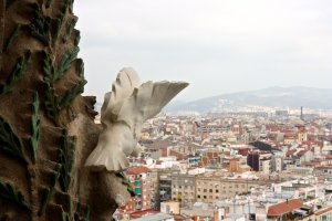 Carrer de la Marina, 253, 08013 Barcelona, Barcelona, Spain