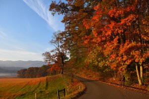 Cades Cove Loop Rd, Tallassee, TN 37878, USA