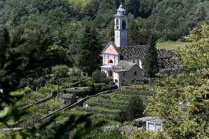 Photo taken at Via Campii 22, 6673 Maggia, Switzerland with Canon EOS-1D X