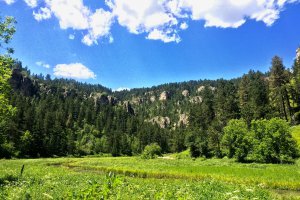 Roughlock Falls Trail, Lead, SD 57754, USA