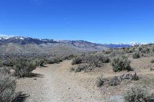 Photo taken at 2655 Anzac Circle, Carson City, NV 89701, USA with Canon EOS 1100D