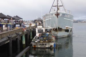 Photo taken at Embarcadero, San Diego, CA 92101, USA with Panasonic DMC-TZ61