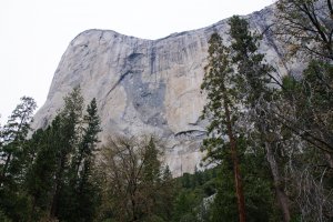 Photo taken at Northside Drive, YOSEMITE NATIONAL PARK, CA 95389, USA with NIKON D300