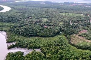 Morada do Sol, São Luís, Região Geográfica Imediata de São Luís, Região Geográfica Intermediária de São Luís, Maranhão, Northeast Region, 65091-320, Brazil