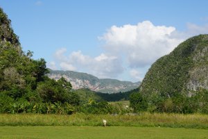 Photo taken at Calle Alfonso, Cuba with SONY ILCE-6000