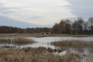 Photo taken at 420 Hay Point Landing Road, Smyrna, DE 19977, USA with Canon EOS 1100D