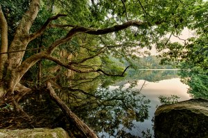 Photo taken at Shing Mun Reservoir Jogging Trail, Lo Wai, Hong Kong with NIKON D4