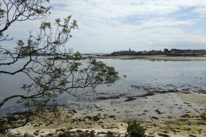 Pointe de Perharidi, 29680 Roscoff, France