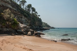 Murramarang National Park, Old Coast Road, South Durras NSW 2536, Australia