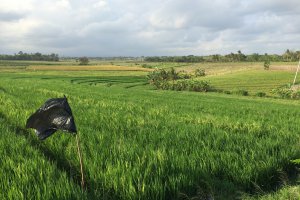 Selemadeg Timur, Kabupaten Tabanan, Bali 82162, Indonesia