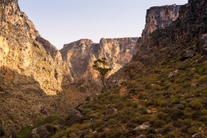 Photo taken at Pervolakia Road, Ierapetra 720 59, Greece with Panasonic DMC-GH3