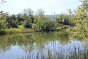 Photo taken at Hirschwiesenstrasse 10, 8057 Zürich, Switzerland with Canon EOS 1100D