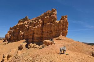 Golden Wall Trail, Garfield County, Utah, United States