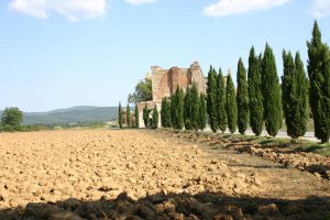 Photo taken at Strada Comunale di San Galgano, 151, 53012 Chiusdino SI, Italy with Canon EOS 300D DIGITAL