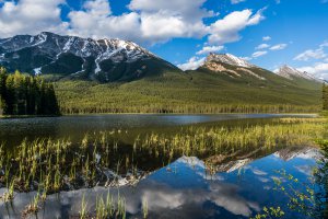 Photo taken at Jasper National Park, Icefields Parkway, Jasper, AB T0E 1E0, Canada with SONY NEX-6