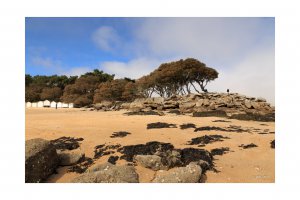 Photo taken at 584 Allée des Sableaux, 85330 Noirmoutier-en-l'Île, France with Canon EOS 6D