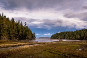 Photo taken at 16888-17504 Northwest Stavis Bay Road, Seabeck, WA 98380, USA with Canon EOS 6D