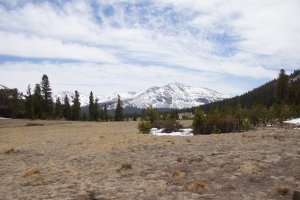 Yosemite National Park, Tioga Pass Parking Lot, Groveland, CA 95321, USA