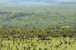 Photo taken at View Road, Kruger Park, South Africa with NIKON D300