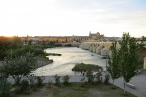 Avenida Fray Albino, 14009 Córdoba, Córdoba, Spain