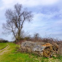 Unnamed Road, Oxford, Oxfordshire OX2, UK