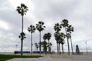 Photo taken at East Market Street, Venice, CA 90291, USA with Canon EOS 6D
