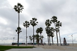 East Market Street, Venice, CA 90291, USA