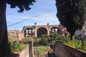 Piazza di San Maria Nova, 53, 00186 Roma, Italy