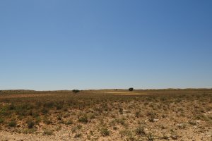 Benede, South Africa