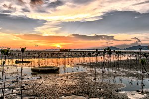 Photo taken at Nim Wan Road, Lau Fau Shan, Hong Kong with NIKON D4