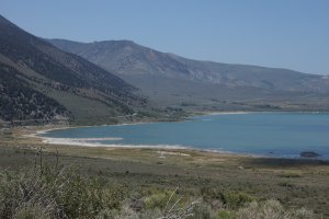 Inyo National Forest, Nature Trail, Lee Vining, CA 93541, USA