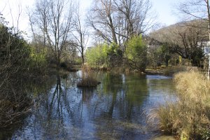 Photo taken at Unterer Quai 7, 2502 Biel/Bienne, Switzerland with Canon EOS 1100D