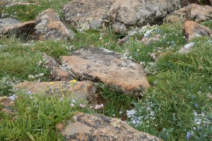 Photo taken at Rocky Mountain National Park, Forest Canyon Overlook, Estes Park, CO 80517, USA with NIKON COOLPIX AW120