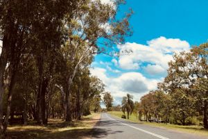 Centenary Drive, Clarenza, Grafton, Clarence Valley Council, New South Wales, 2460, Australia