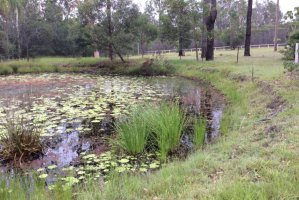 Photo taken at 95-103 East St, Jimboomba QLD 4280, Australia with Apple iPad Air