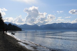 Humboldt-Toiyabe National Forest, 3383 Lake Tahoe Boulevard, South Lake Tahoe, CA 96150, USA