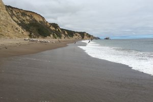 Coast Trail, Point Reyes Station, CA 94956, USA