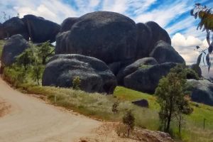 Photo taken at Williamsons Road, Rock Forest, Bathurst Regional Council, New South Wales, 2795, Australia with LG Electronics LG-K520
