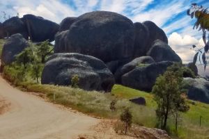 Williamsons Road, Rock Forest, Bathurst Regional Council, New South Wales, 2795, Australia