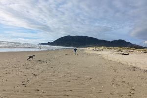 Lungomare, Manzanita, Tillamook County, Oregon, 97130, United States