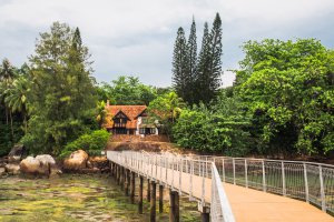 Natural Trail, Singapore