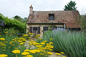 Photo taken at Le Bourg, 18150 Apremont-sur-Allier, France with NIKON D300