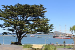 Photo taken at Ghirardelli Square, 900-904 Beach Street, San Francisco, CA 94109, USA with Canon EOS 1100D