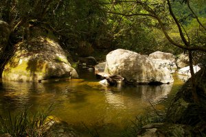 Photo taken at Daintree National Park, Mossman Gorge Road, Mossman Gorge QLD 4873, Australia with NIKON D800E