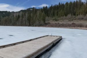 Wilgress Lake Rest Area, Eholt, Regional District of Kootenay Boundary, British Columbia, Canada